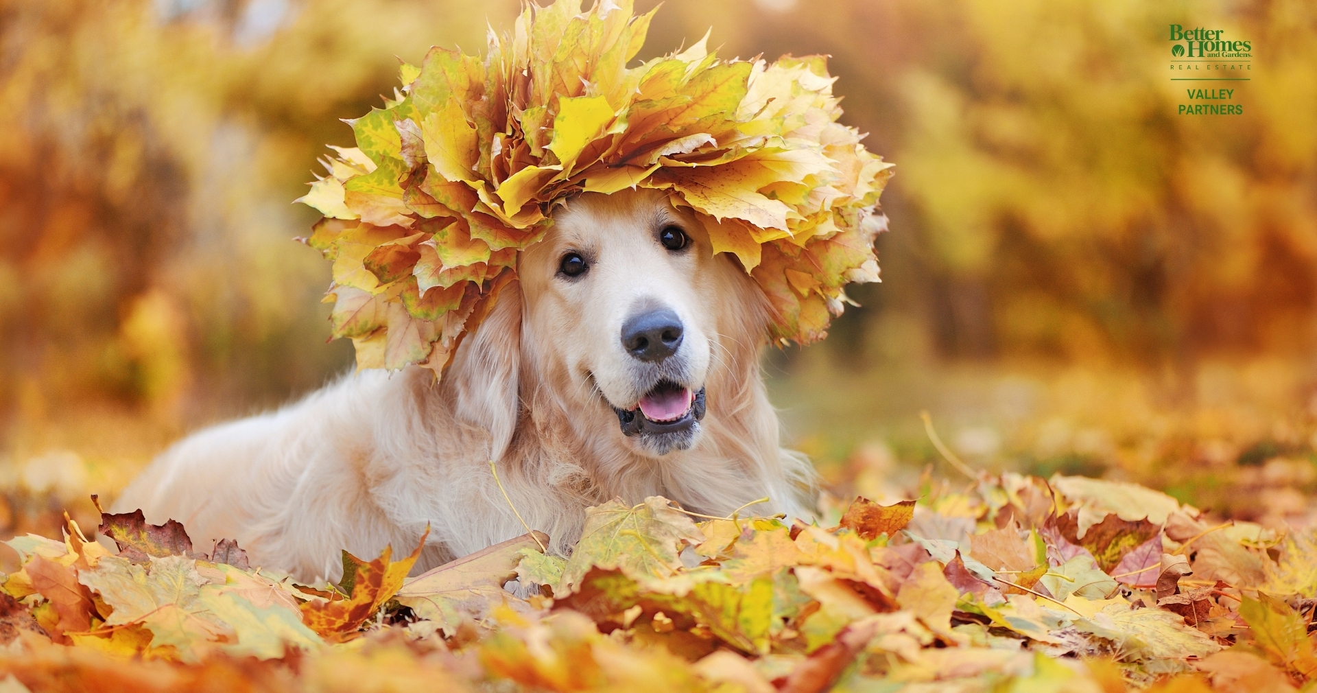 Fall Photoshoot