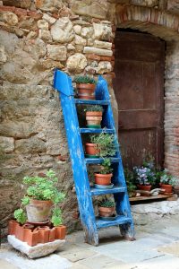 Ladder Garden